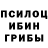 Галлюциногенные грибы Magic Shrooms Anastasi Favorskay