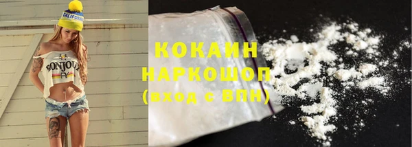 шишки Козельск