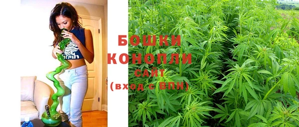 крисы Кодинск