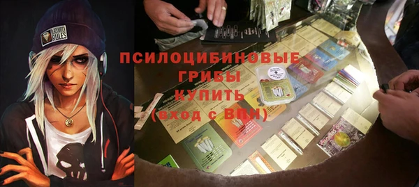 крисы Кодинск